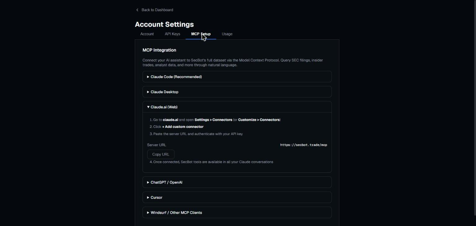 The MCP Server page